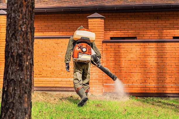 Trusted Ant Control service in Grain Valley, MO - Nex Pest Control